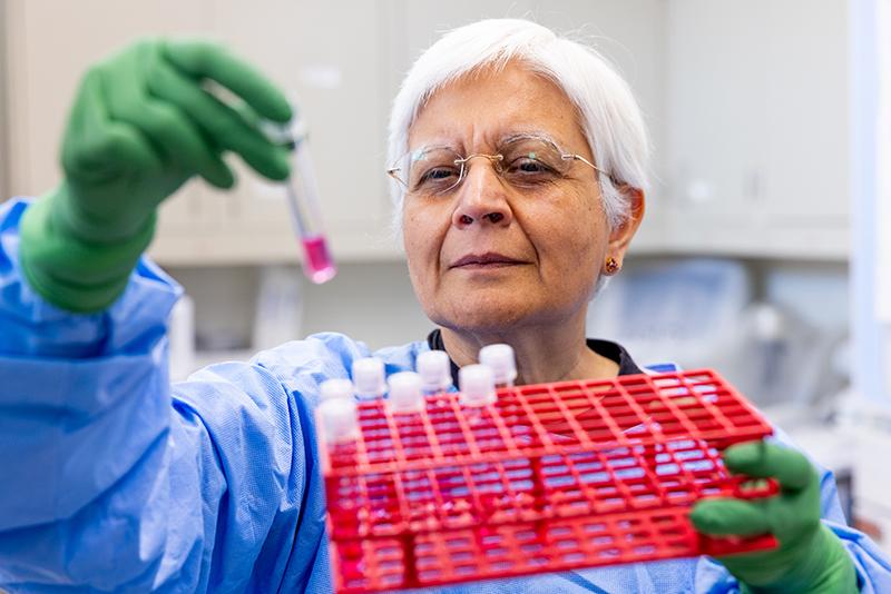 Amitinder Kaur, MD, PhD in lab Amitinder Kaur, MD, PhD in lab