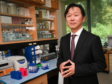 Woong-Ki Kim, PhD